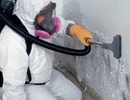 Reliable Lake Dunlap, TX Mold Remediation Solutions